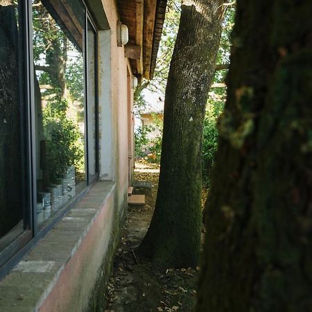 Studio/Flat Rustic Tuscan Marziani 2 Capannori Exterior photo