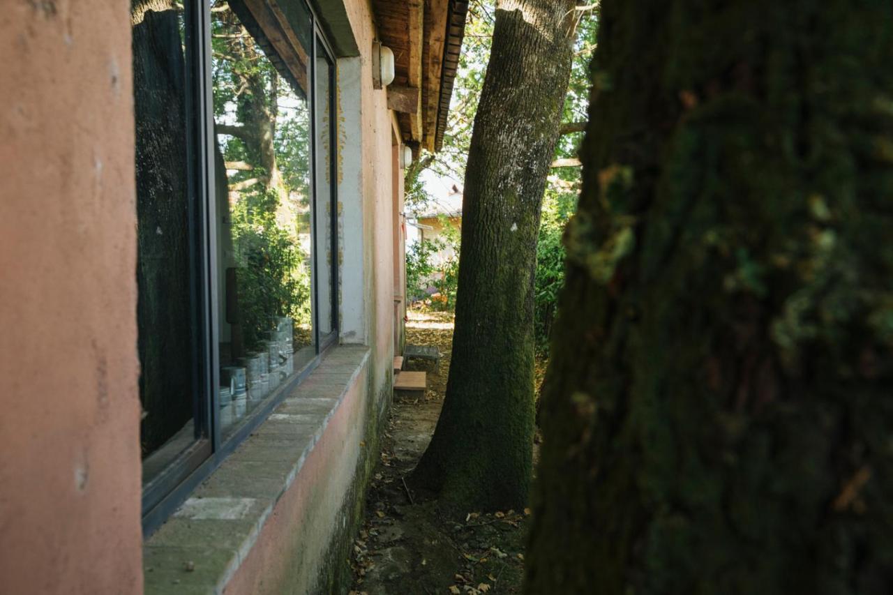 Studio/Flat Rustic Tuscan Marziani 2 Capannori Exterior photo